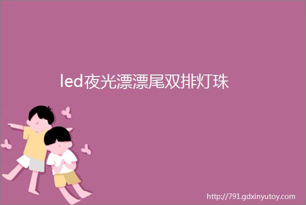 led夜光漂漂尾双排灯珠