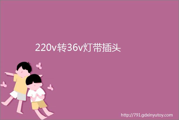 220v转36v灯带插头