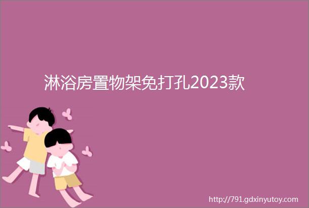 淋浴房置物架免打孔2023款