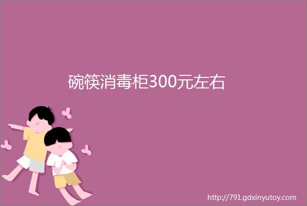 碗筷消毒柜300元左右