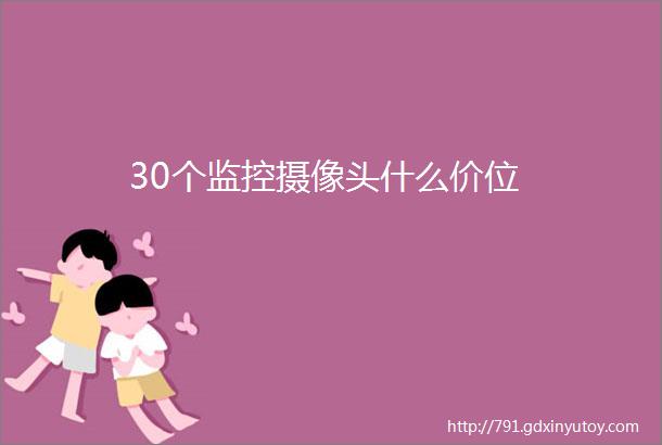 30个监控摄像头什么价位