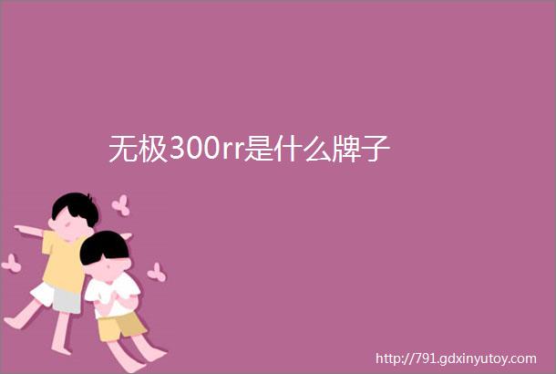 无极300rr是什么牌子