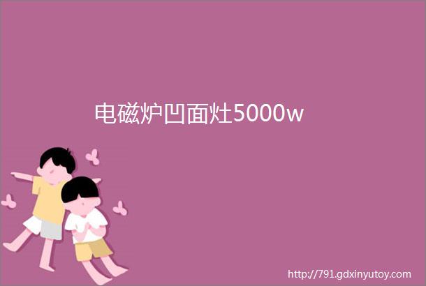 电磁炉凹面灶5000w