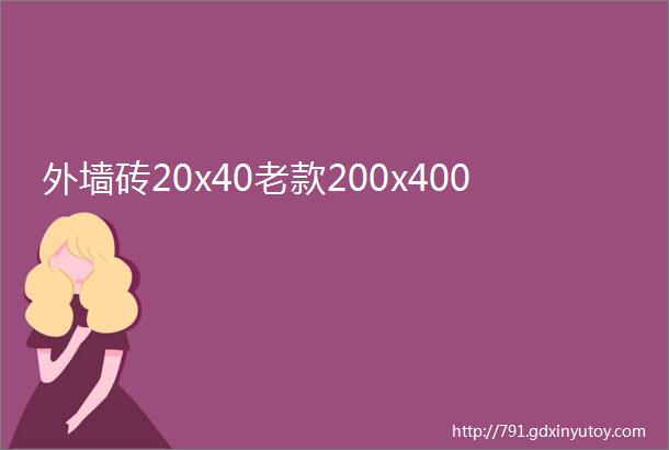 外墙砖20x40老款200x400