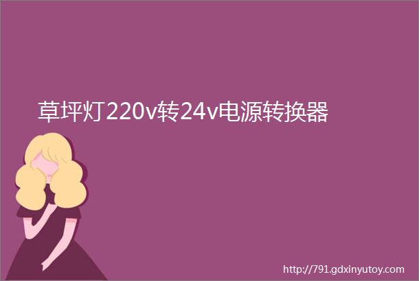 草坪灯220v转24v电源转换器