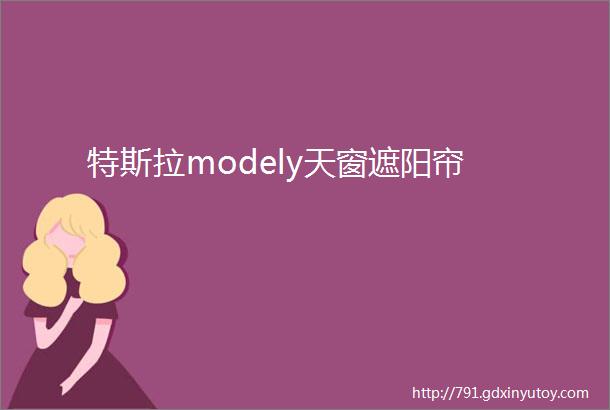 特斯拉modely天窗遮阳帘