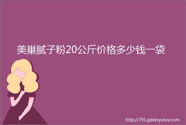 美巢腻子粉20公斤价格多少钱一袋