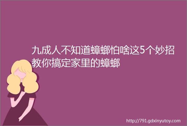 九成人不知道蟑螂怕啥这5个妙招教你搞定家里的蟑螂