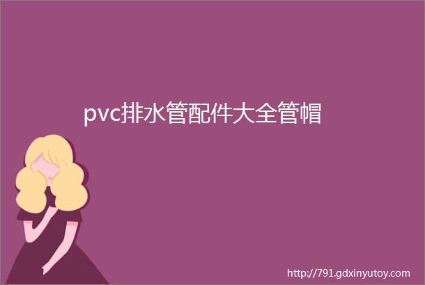 pvc排水管配件大全管帽