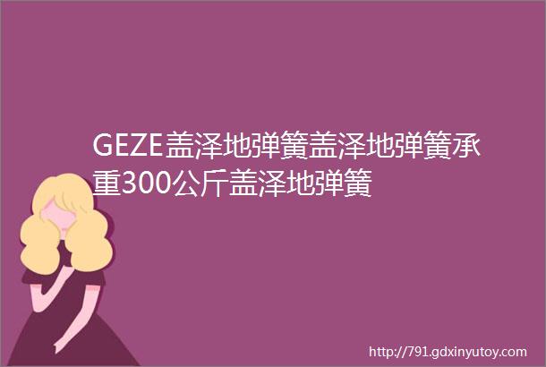 GEZE盖泽地弹簧盖泽地弹簧承重300公斤盖泽地弹簧