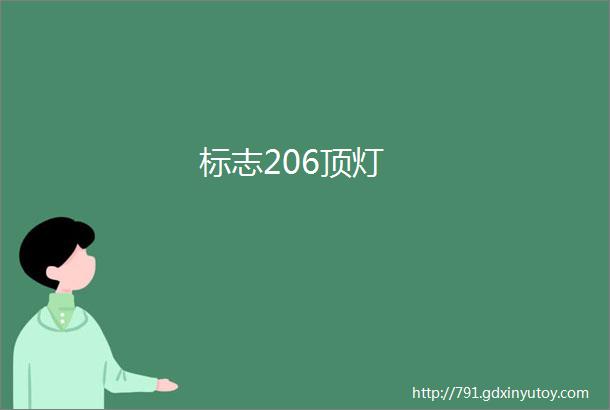 标志206顶灯