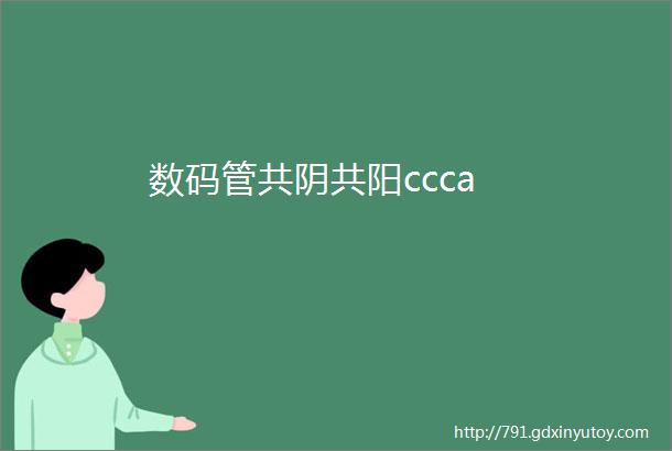 数码管共阴共阳ccca