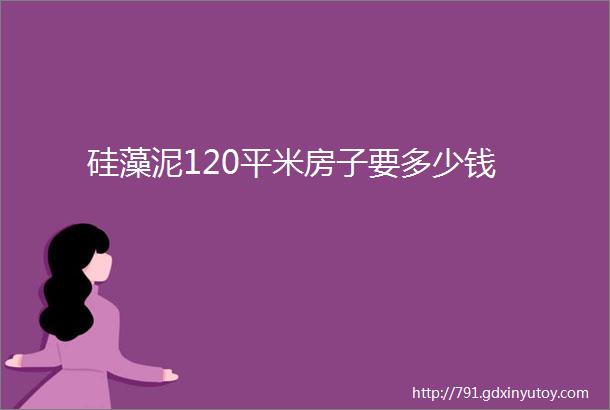 硅藻泥120平米房子要多少钱