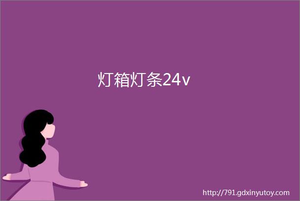 灯箱灯条24v