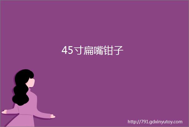 45寸扁嘴钳子