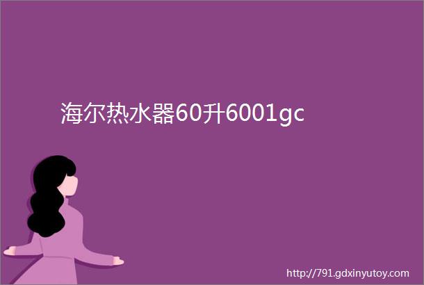 海尔热水器60升6001gc