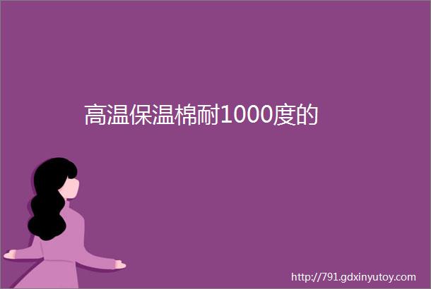 高温保温棉耐1000度的