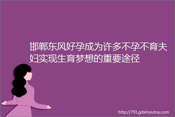 邯郸东风好孕成为许多不孕不育夫妇实现生育梦想的重要途径