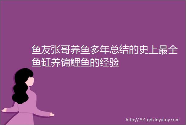 鱼友张哥养鱼多年总结的史上最全鱼缸养锦鲤鱼的经验