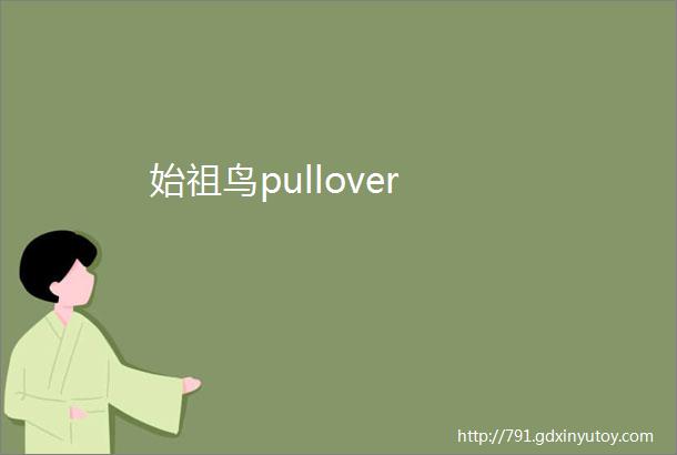 始祖鸟pullover