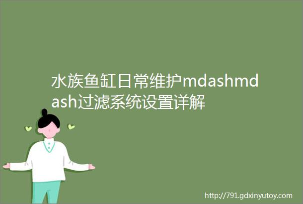 水族鱼缸日常维护mdashmdash过滤系统设置详解