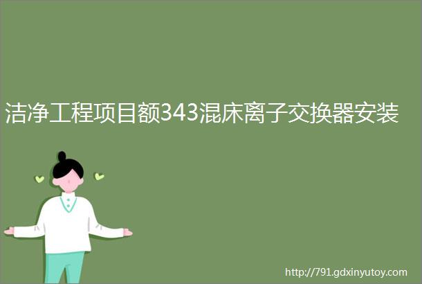 洁净工程项目额343混床离子交换器安装