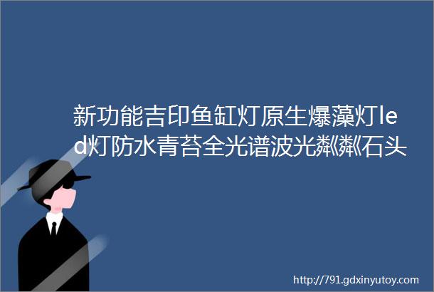 新功能吉印鱼缸灯原生爆藻灯led灯防水青苔全光谱波光粼粼石头溪流缸水草灯自然暖白光