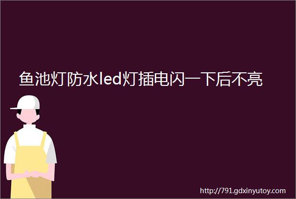 鱼池灯防水led灯插电闪一下后不亮