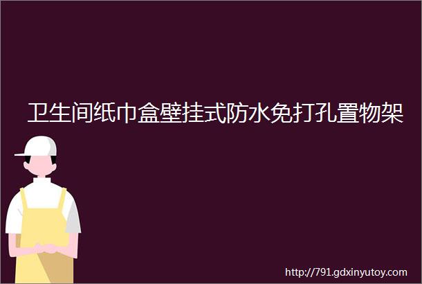 卫生间纸巾盒壁挂式防水免打孔置物架