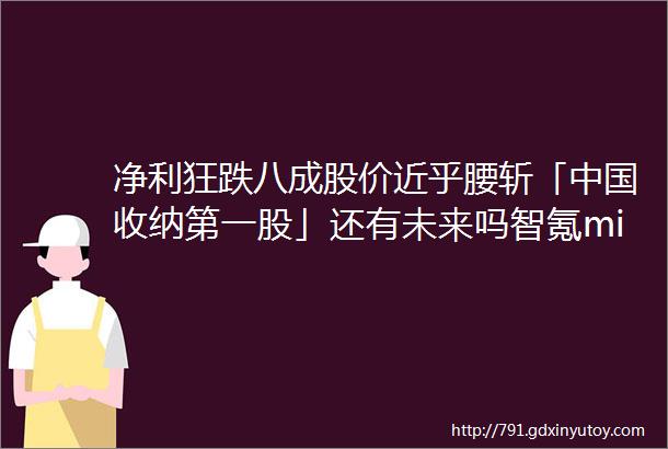 净利狂跌八成股价近乎腰斩「中国收纳第一股」还有未来吗智氪middot北交所