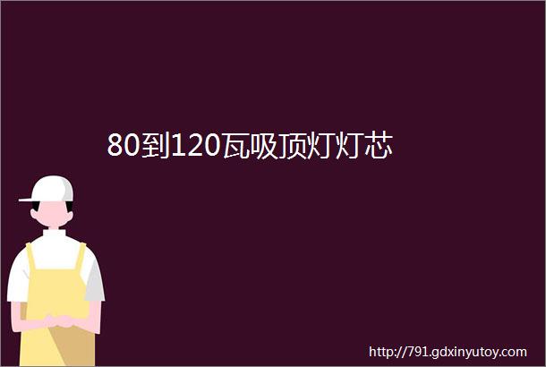 80到120瓦吸顶灯灯芯