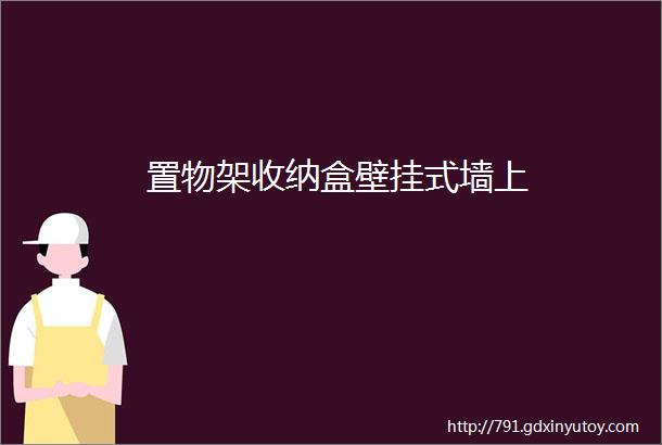 置物架收纳盒壁挂式墙上