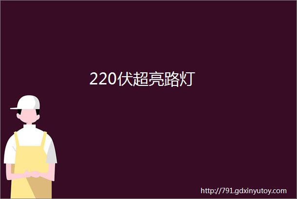 220伏超亮路灯