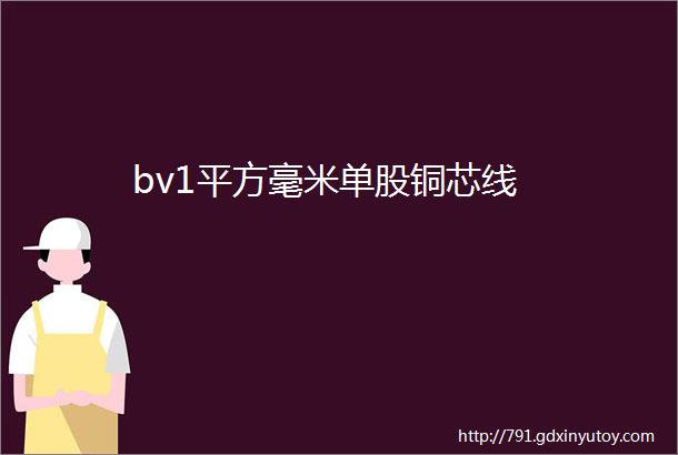 bv1平方毫米单股铜芯线