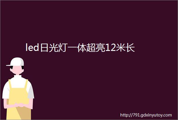 led日光灯一体超亮12米长