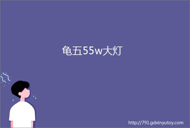 龟五55w大灯