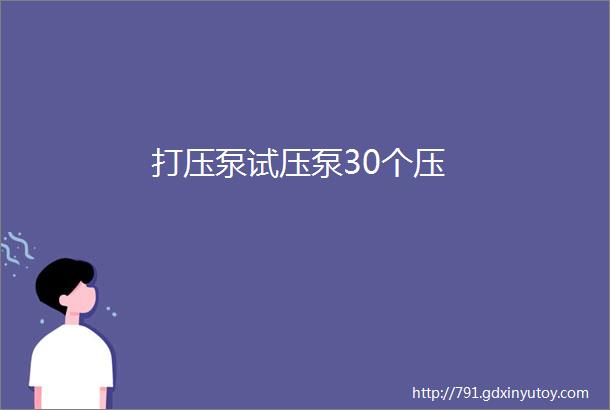 打压泵试压泵30个压