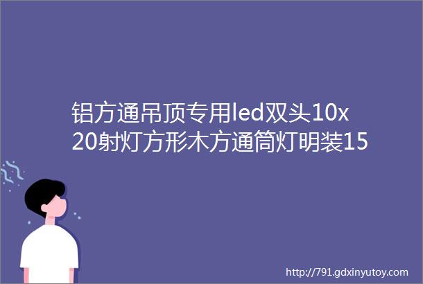 铝方通吊顶专用led双头10x20射灯方形木方通筒灯明装1515