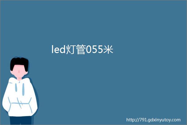 led灯管055米