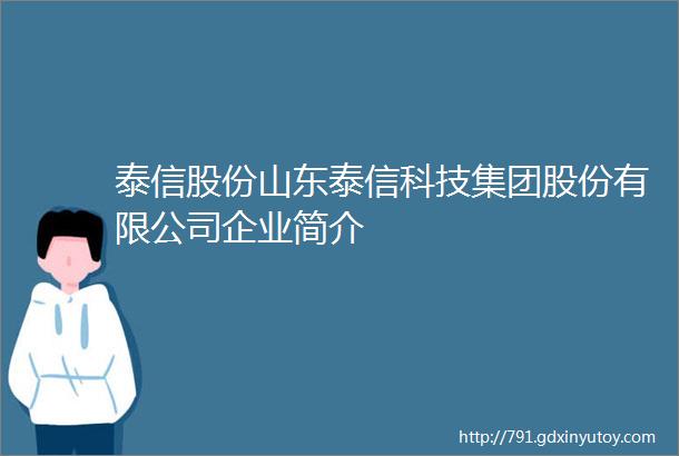 泰信股份山东泰信科技集团股份有限公司企业简介