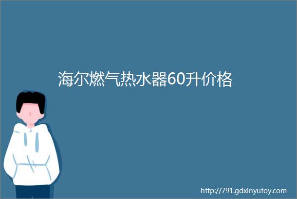 海尔燃气热水器60升价格