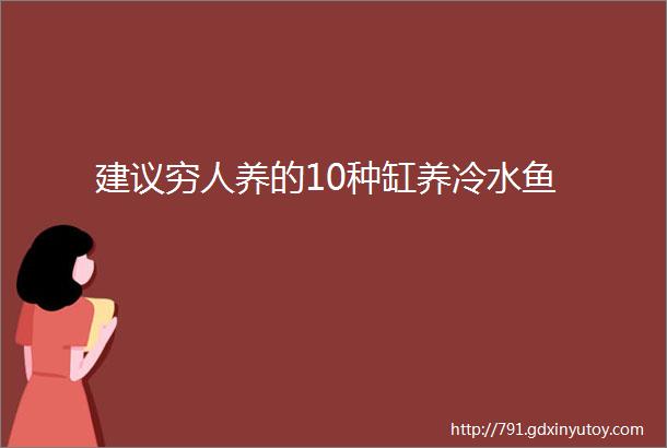 建议穷人养的10种缸养冷水鱼