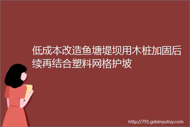 低成本改造鱼塘堤坝用木桩加固后续再结合塑料网格护坡