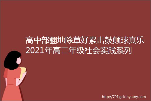 高中部翻地除草好累击鼓颠球真乐2021年高二年级社会实践系列报道五