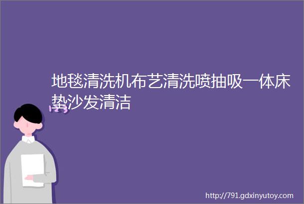 地毯清洗机布艺清洗喷抽吸一体床垫沙发清洁