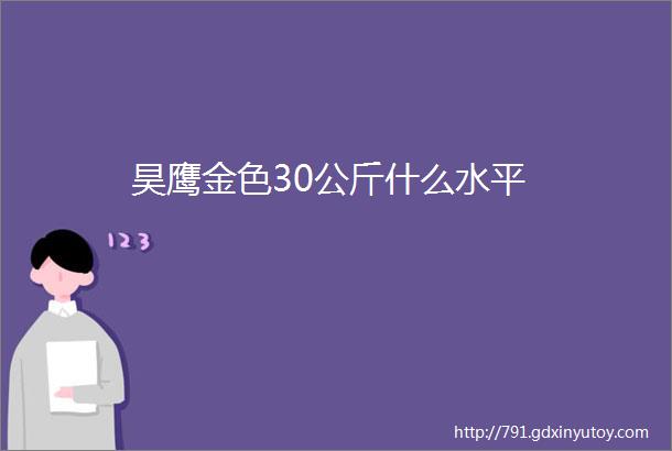 昊鹰金色30公斤什么水平