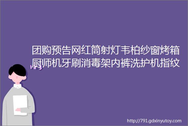 团购预告网红筒射灯韦柏纱窗烤箱厨师机牙刷消毒架内裤洗护机指纹锁猫眼