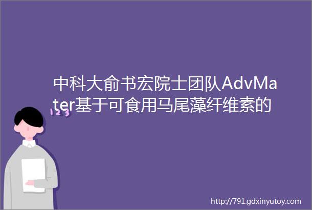 中科大俞书宏院士团队AdvMater基于可食用马尾藻纤维素的高性能餐具用结构材料