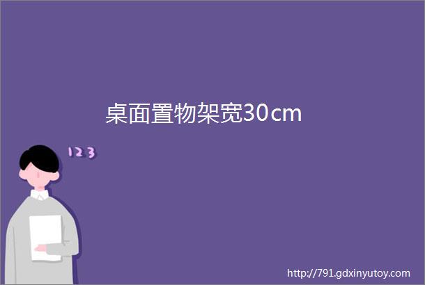 桌面置物架宽30cm