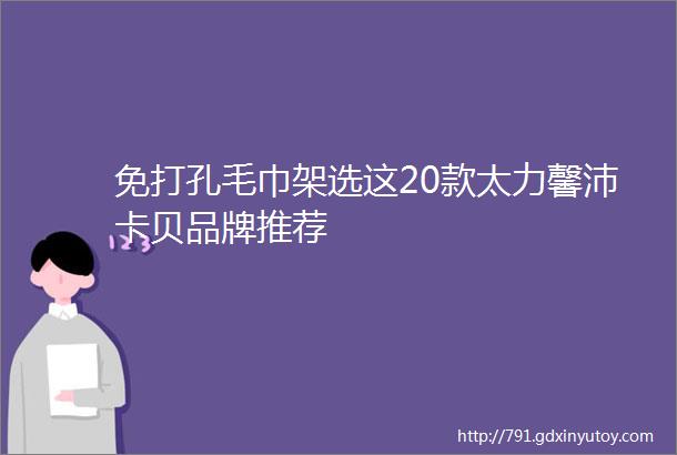 免打孔毛巾架选这20款太力馨沛卡贝品牌推荐